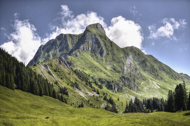 Alpine Precision Hotels in Switzerland for Crisp Comfort and Scenic Peace