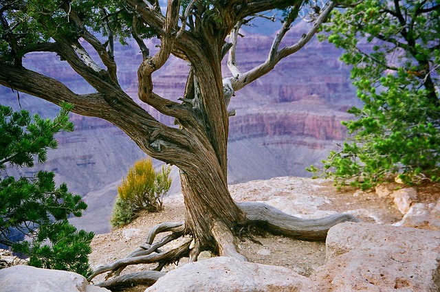 AlUla Desert Retreats for Canyon Silence and Golden Stone Beauty