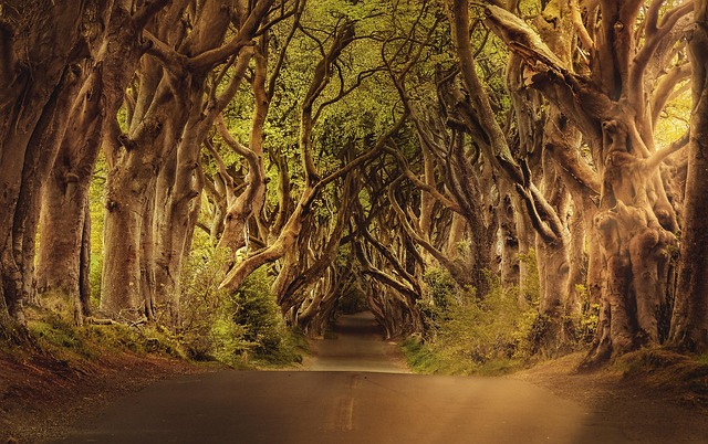 Atlantic weather in Ireland turning empty roads into something cinematic