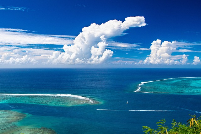 Australian reef sanctuary with island-style comfort and warm blue water