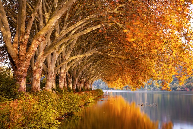 Austrian lake havens for reflective water and winter-soft quiet