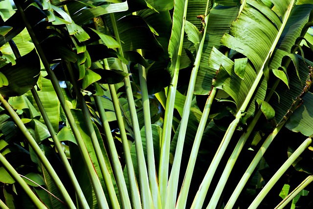 Balinese Hotels Surrounded by Greenery and Gentle Tropical Elegance