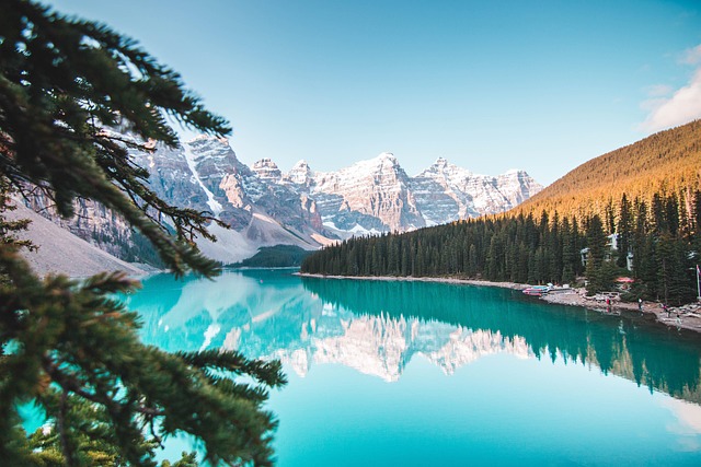 Banff Lodge-Style Stay with Pine Air and Mountain Warmth