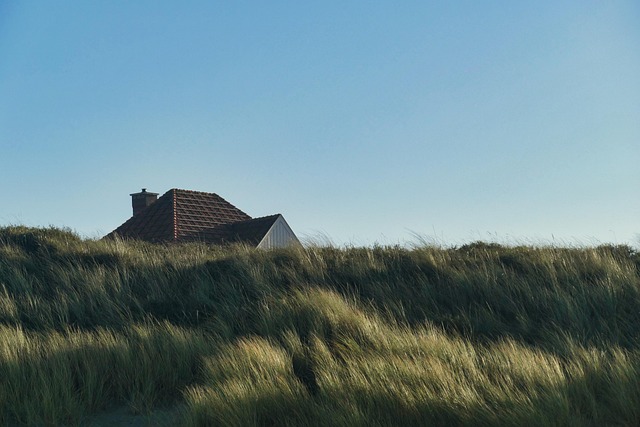 Comporta Beach House Hidden in Sand Pines and Natural Luxury