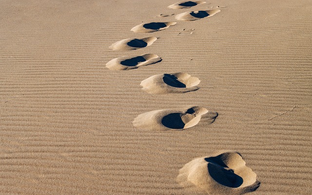 Curonian coast sanctuary shaped by wind, dunes, and meditative silence