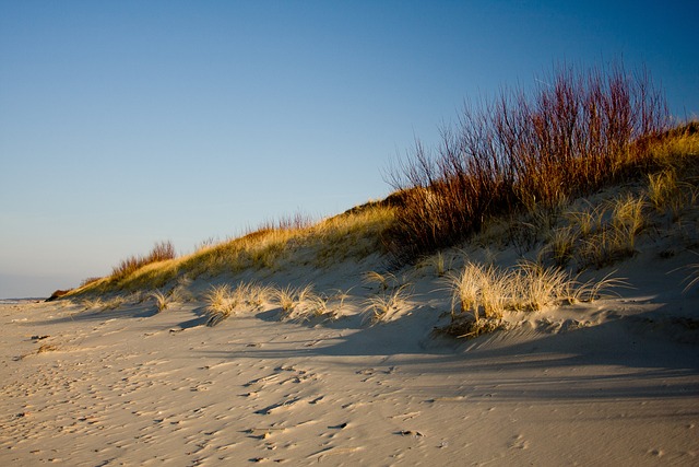 Curonian dune havens for wind-soft coastlines and meditative silence