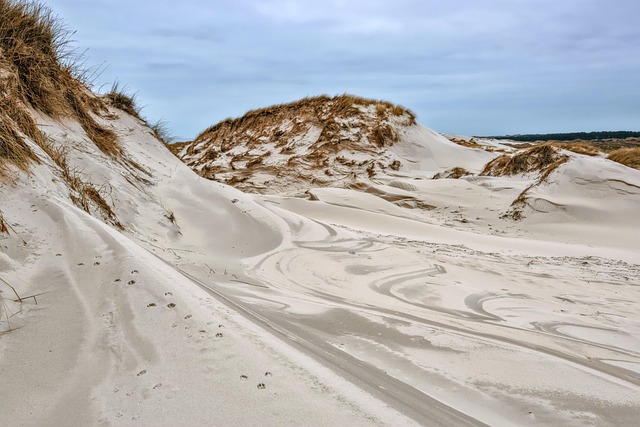 Danish dune havens for simple beauty and coastal restoration