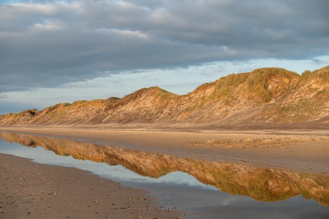 Dune-grass horizons in Denmark where nothing interrupts the calm