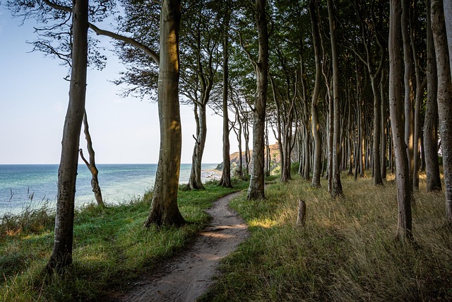 Estonian shoreline refuge where Baltic calm meets spa-like stillness