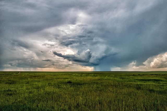 Farplain travel in Mongolia for mental space and rare horizon lines