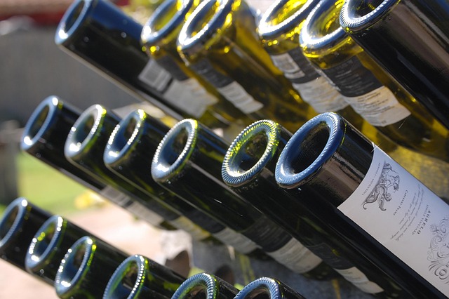 Mendoza Urban Escape for Wine Weekends and Quiet Evenings