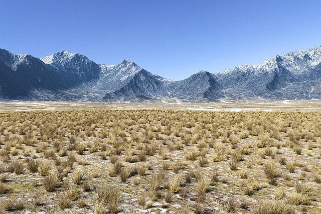 Mongolian steppe refuge filled with open horizons and rare silence