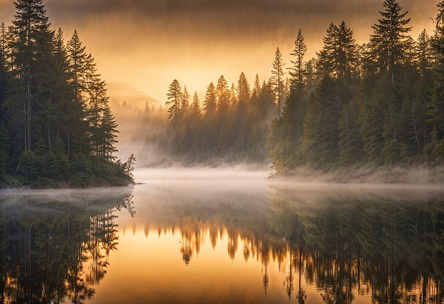Muskoka Lake Escape with Pine Air and Dockside Morning Silence