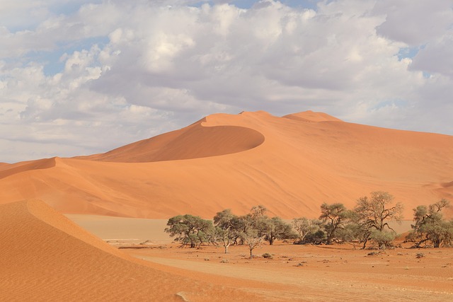 Namib dune sanctuary where starlight and silence become the luxury