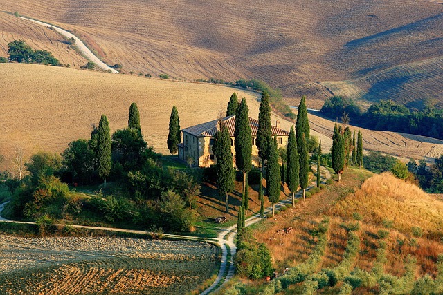 Olive-country wanders across Tuscany for cypress roads and slow lunches