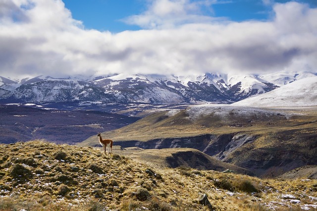 Patagonia Scenic Escape with Vast Silence and Minimal Luxury Lines
