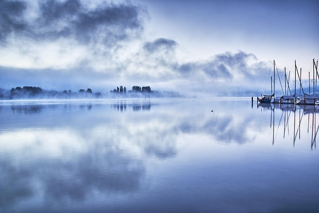 Pine-lake drifts in Poland for forest peace and waterline stillness