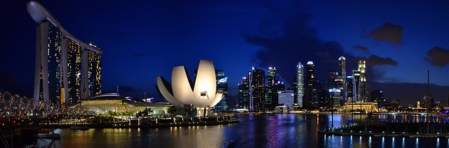 Singapore Marina Residence Offering Skyline Views and Rare Private Space