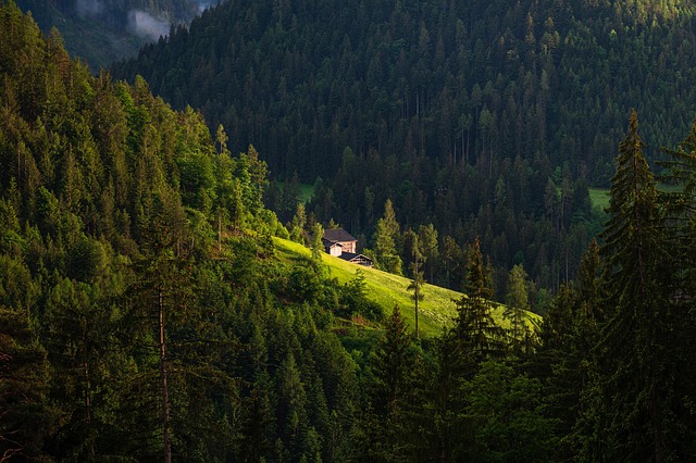 Tuscan Hillside Villas for Olive-Grove Sunsets and Long Countryside Lunches
