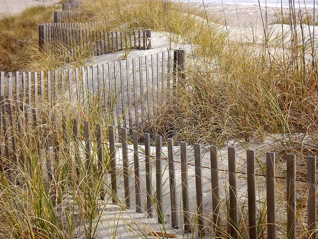Uruguayan dune sanctuary with understated beach luxury and wind-soft quiet