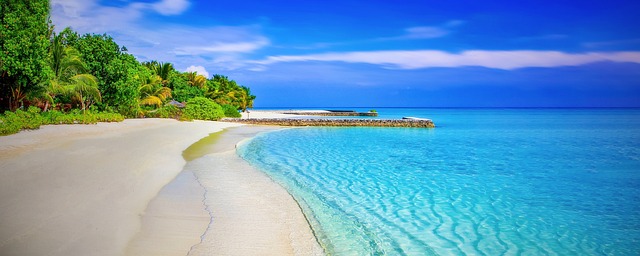 Vietnamese beach sanctuaries for bright horizons and tropical polish