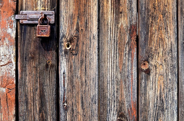Vineyard-and-coast drifts in Australia for cellar doors and surfside stops