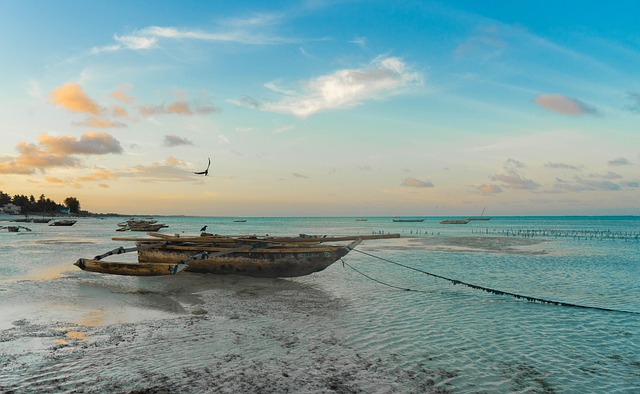 White-sand getaways in Zanzibar for ocean breeze and tropical softness