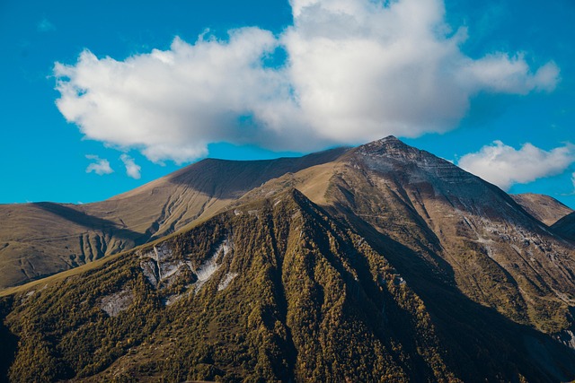 Winehill travel across Georgia for table-rich warmth and scenic valleys