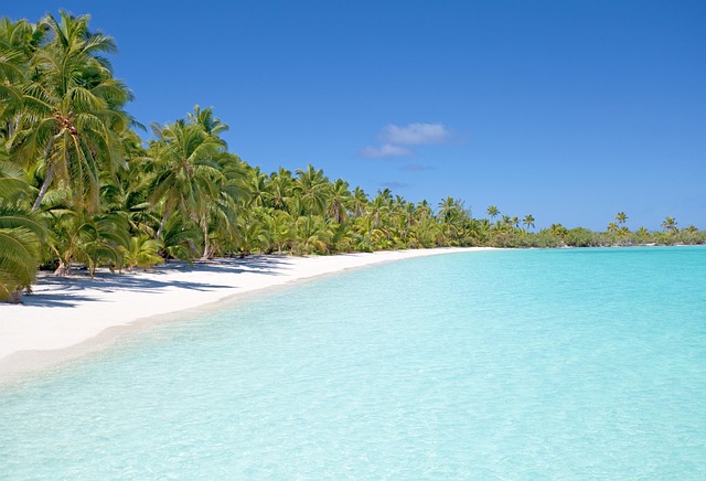 Zanzibar Villas for Palm Shade, White Sand, and Slow Tropical Ease